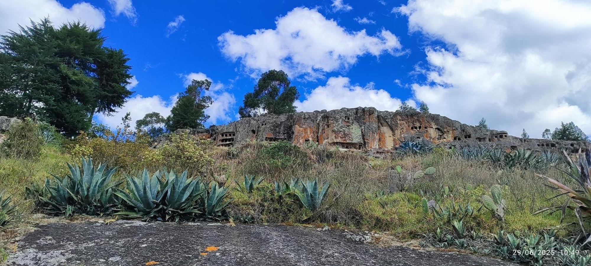 Homestay Casa El Capuli *